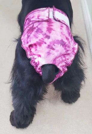 Doggy knickers best sale