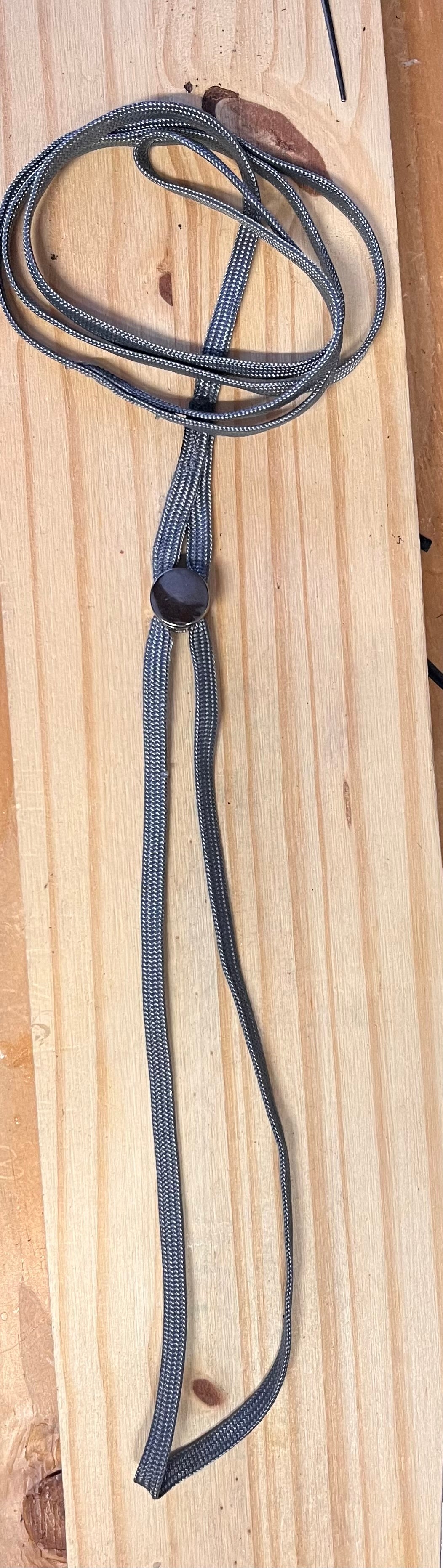 Show Leash - Resco Style Slip