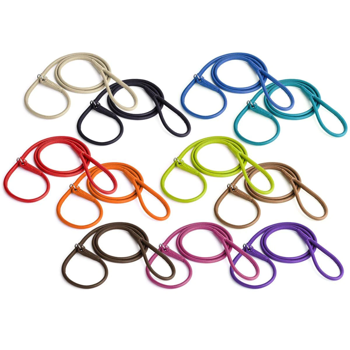 DogLine Leather show lead slip collar & Clip Versions