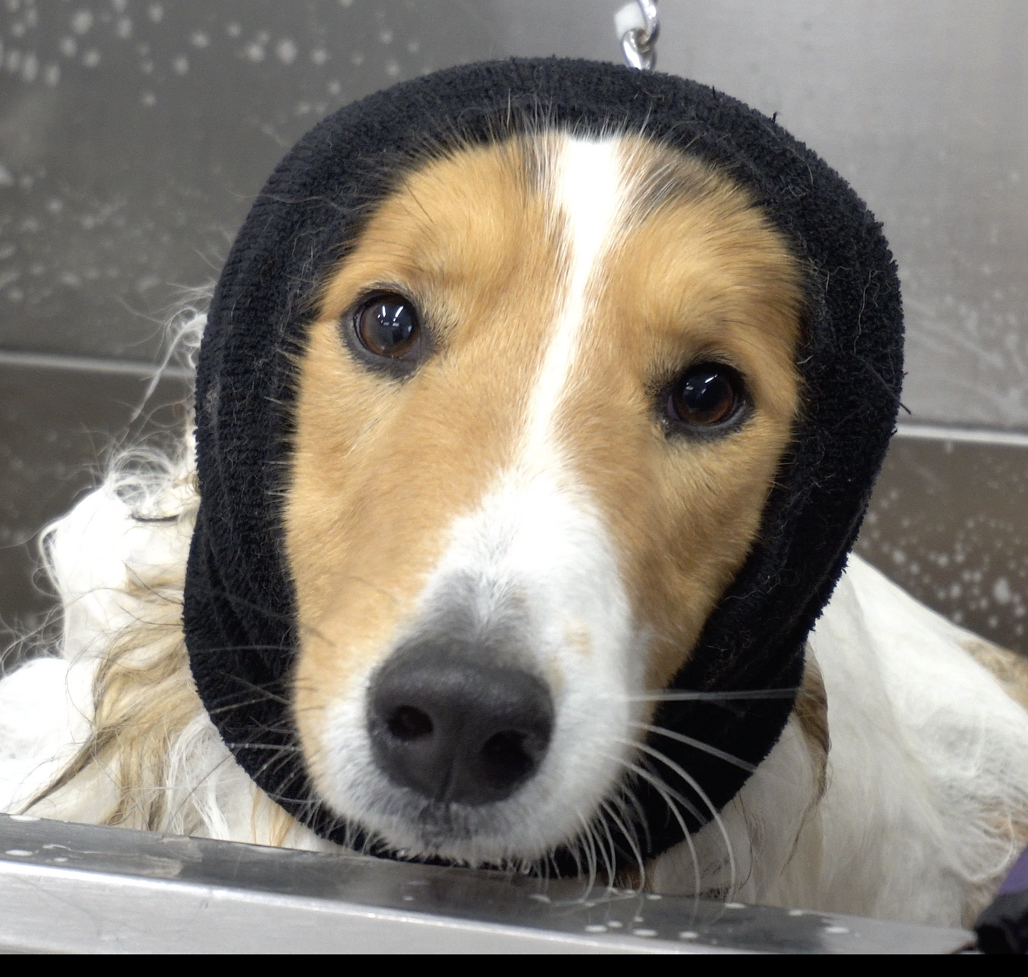 Happy Hoodie
