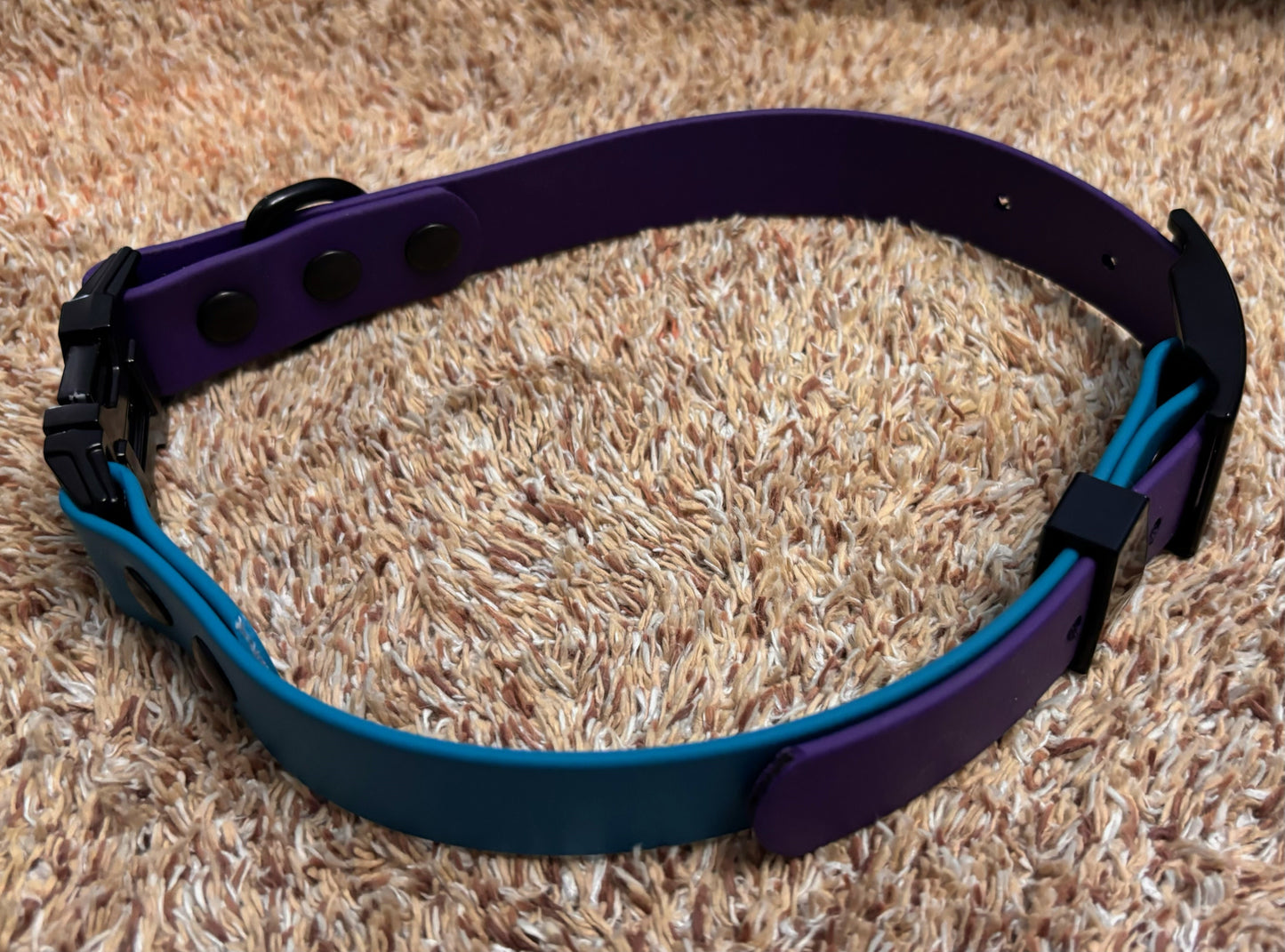 Collar-2 Tone quick release