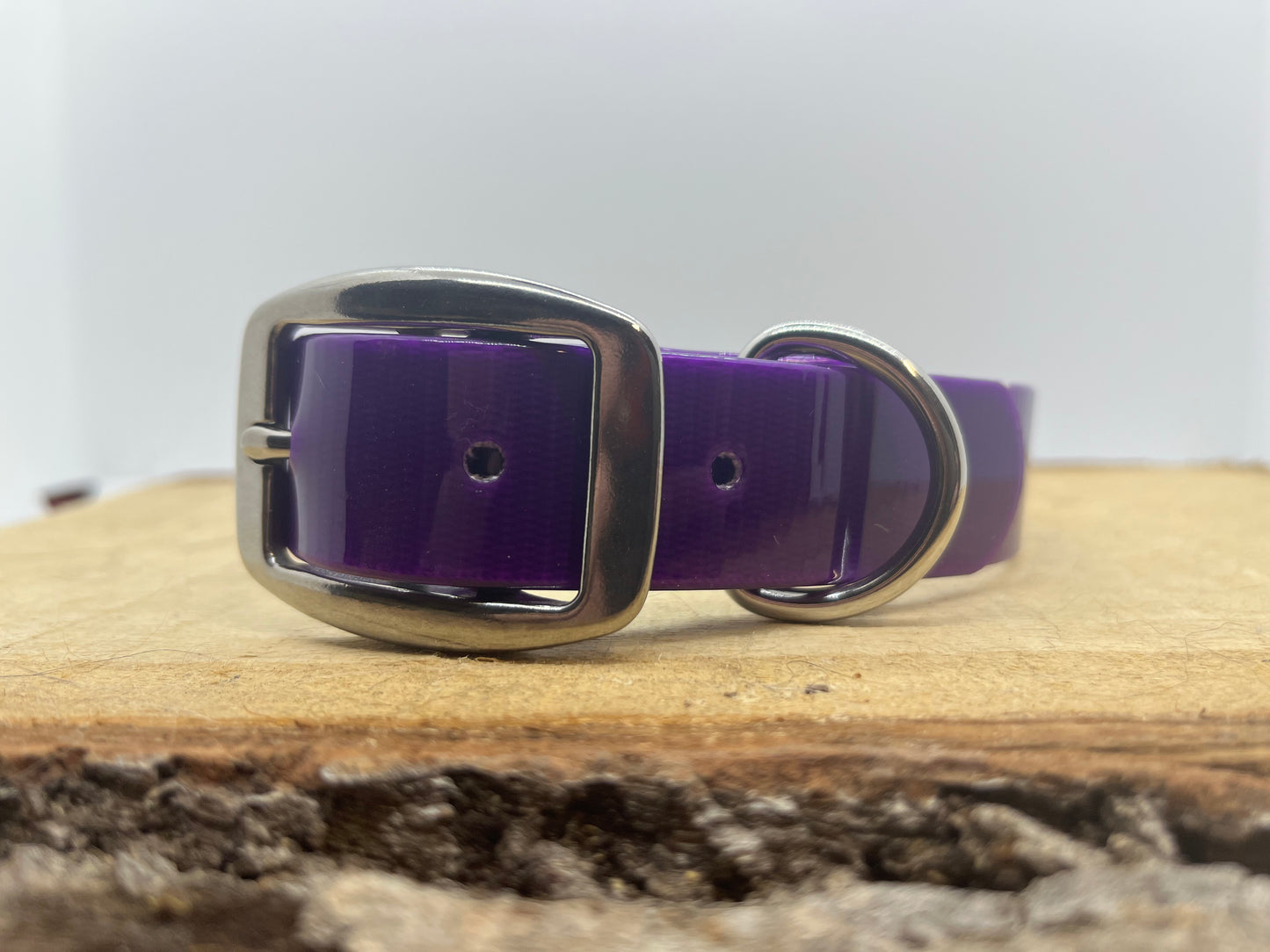 Collar - D Buckle (Gold Series)