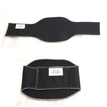 Belly Band Male Dog