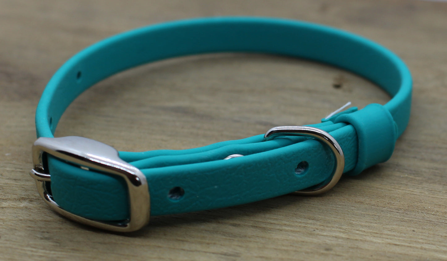 Small Breed Collar D Buckle