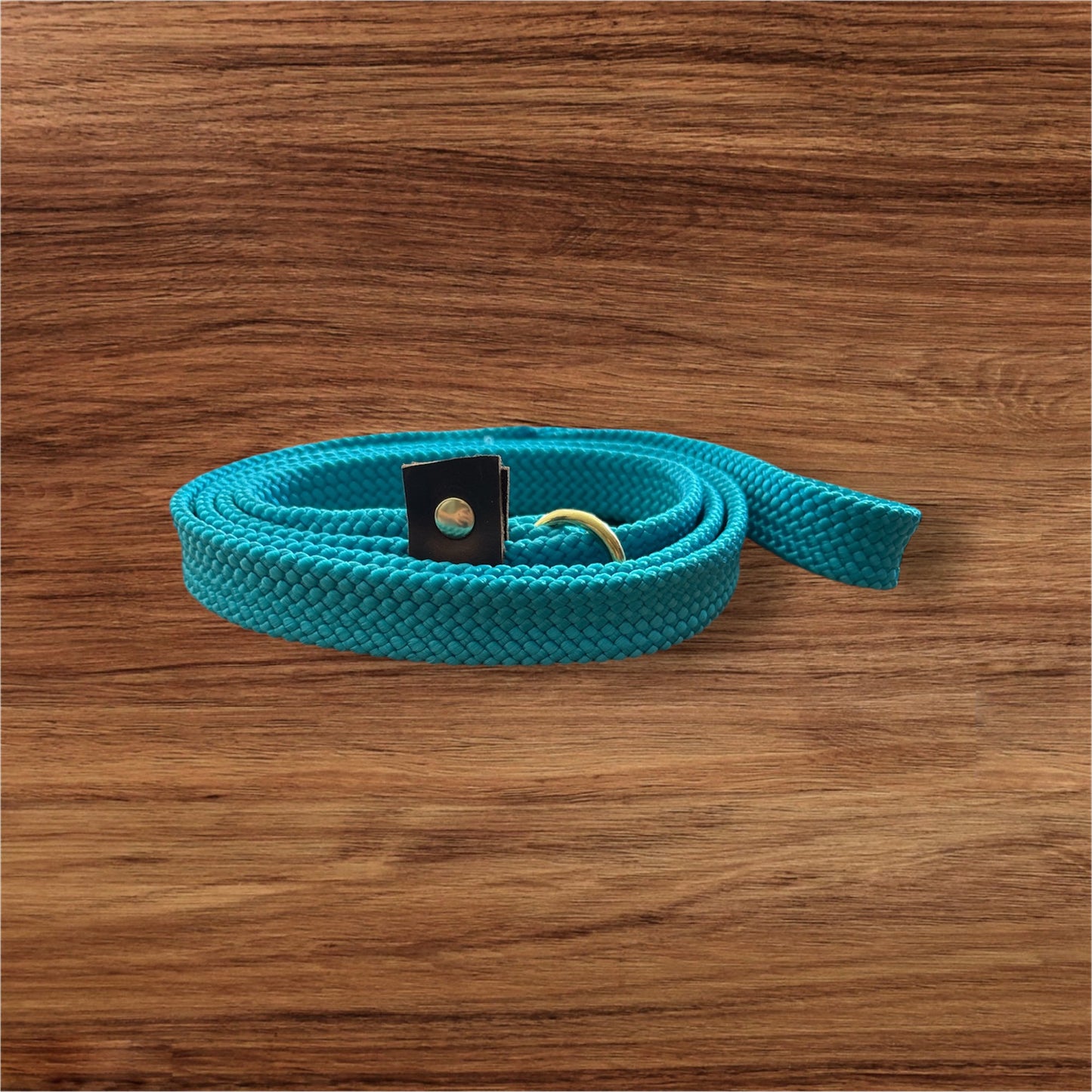 Flat slip leash