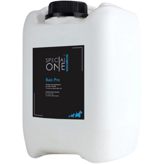 Bain Pro 5000 ml Shampoo by Special One