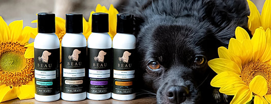 Beau Canine Essential Shampoos & Conditioners - Professional Line