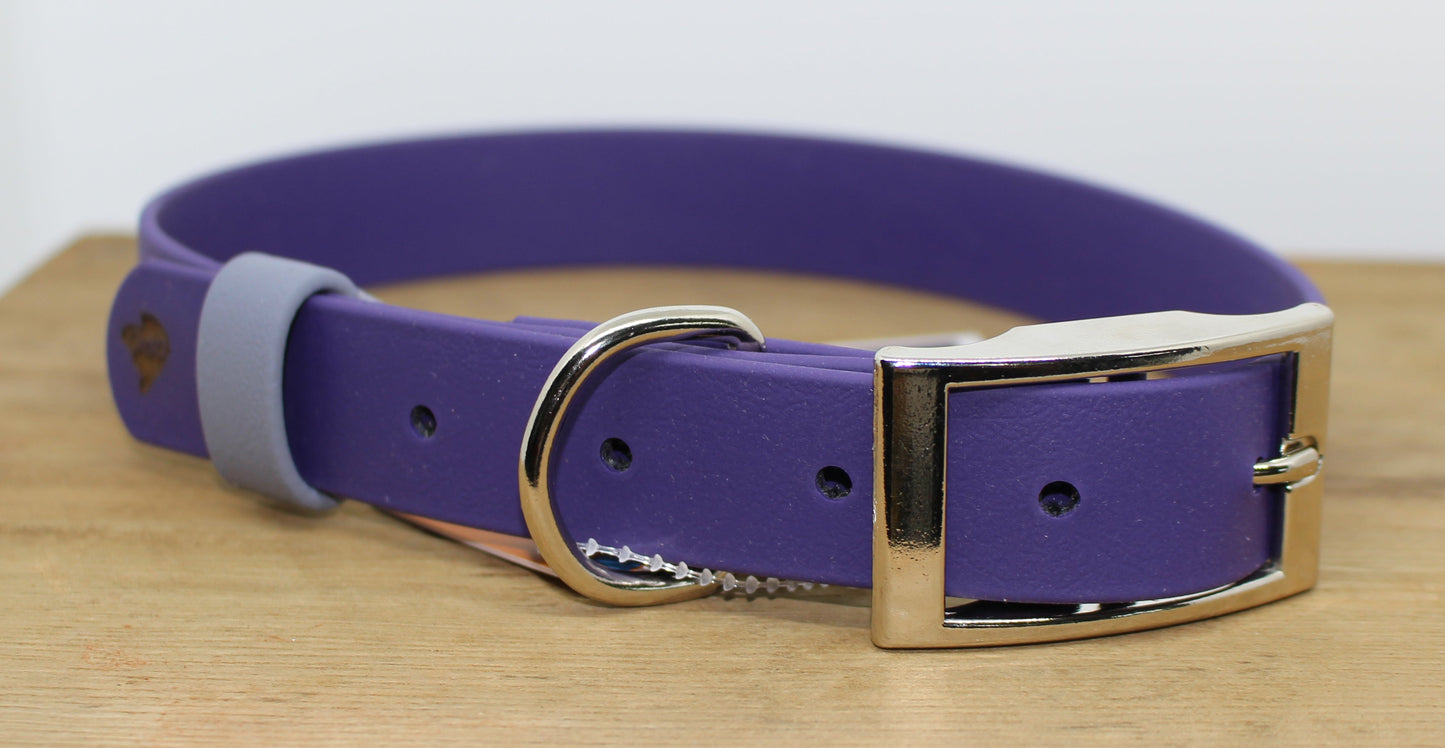 Collar - D Buckle 5/8"