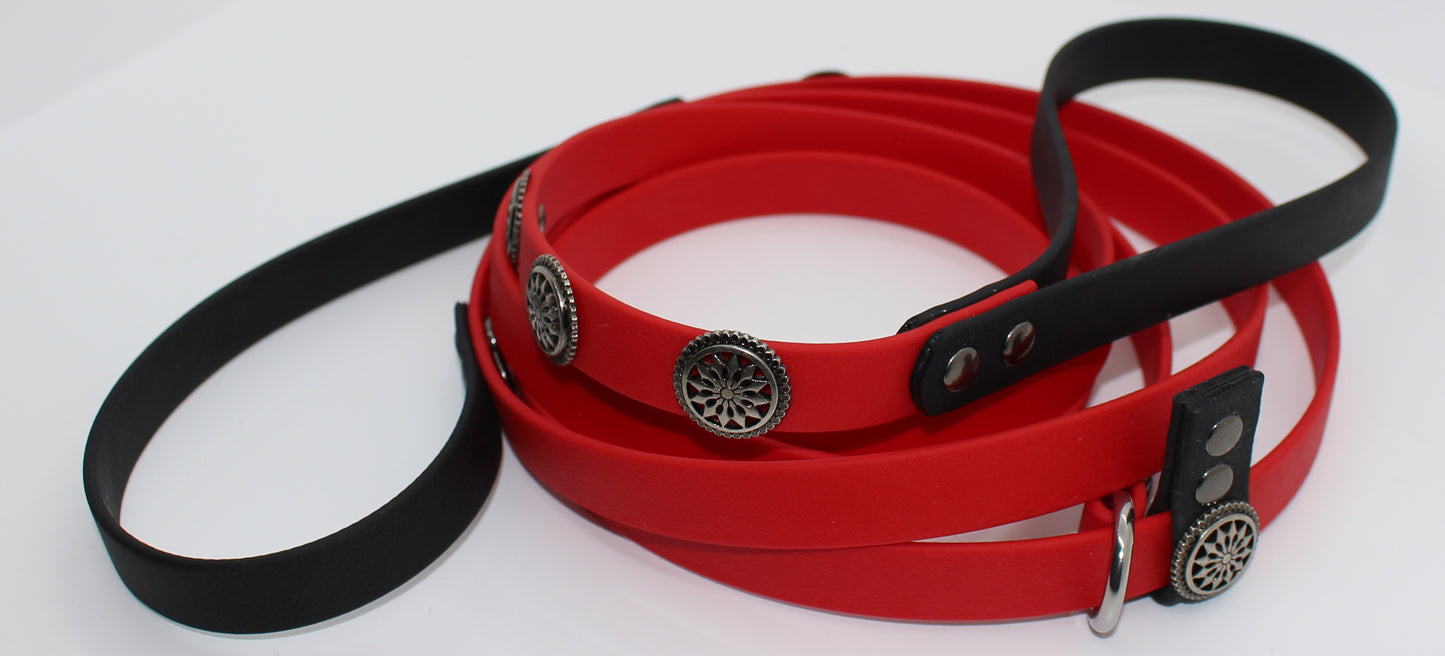 Leash - Two Tone Double Handle with Slip Collar