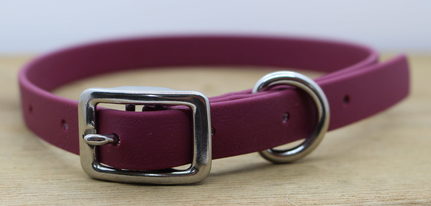 Collar - D Buckle 5/8"